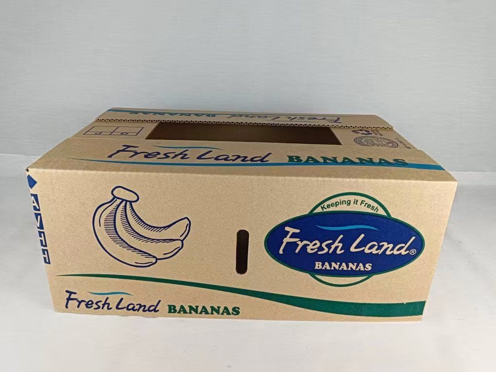 Fresh Land kraft banana carton