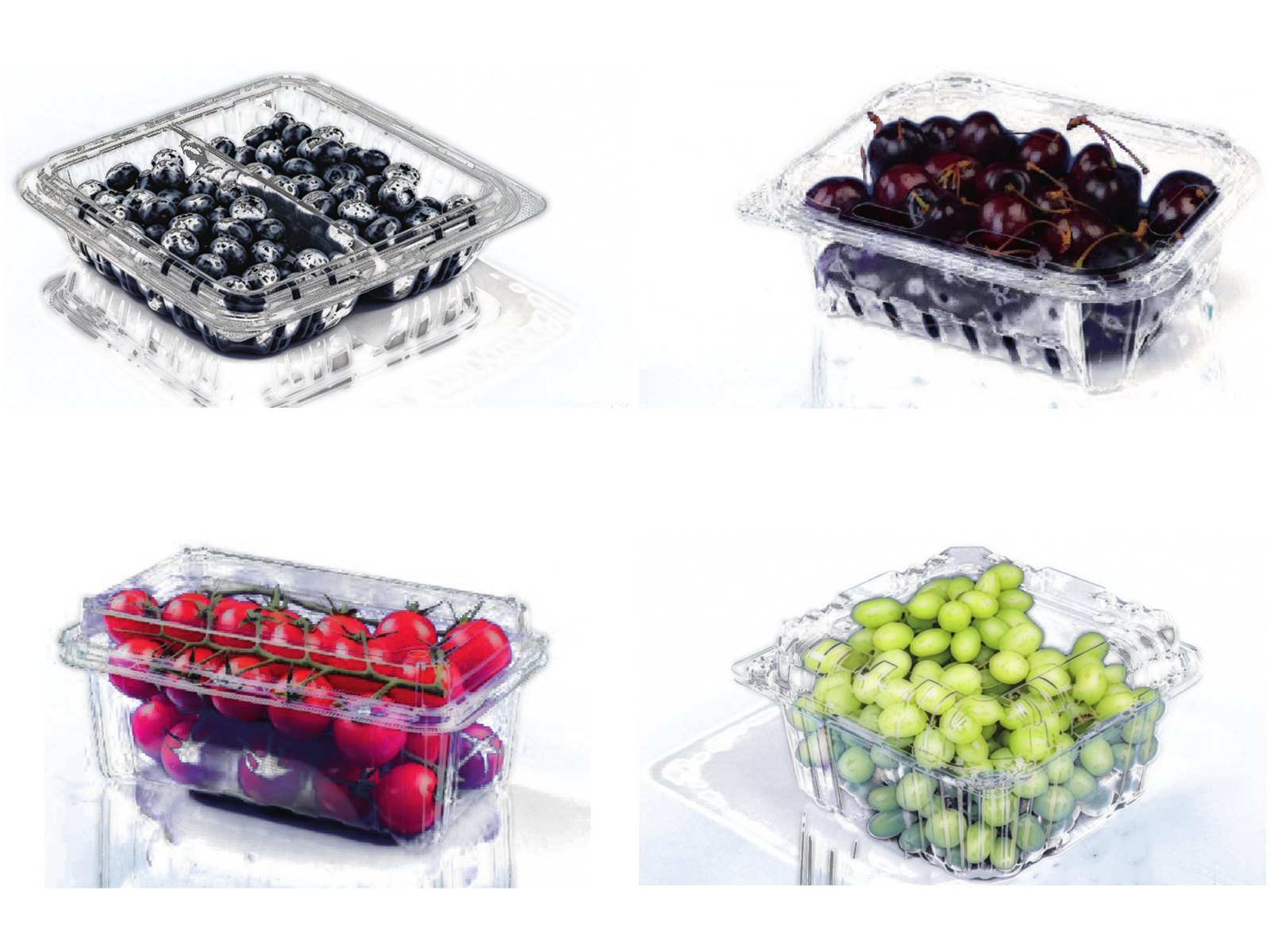 Hộp nhựa PET đựng việt quất, cherry, cà chua bi và nho