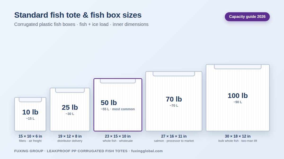 Standard fish tote and fish box sizes from 10 lb to 100 lb with inner dimensions