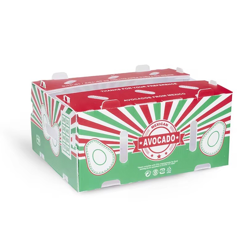 Mexican avocado printed PP box, red green stripes