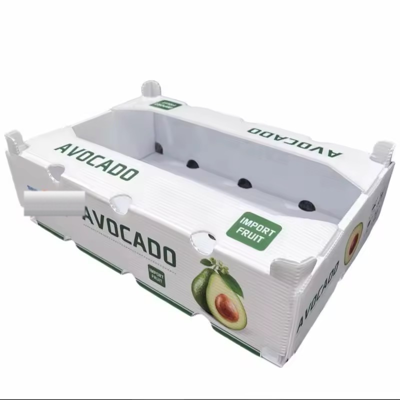 White PP avocado tray with ventilation