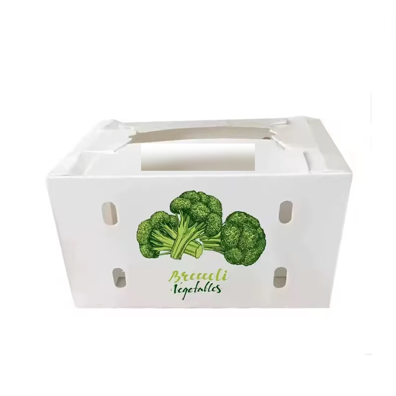 PP corrugated box with carry handle for broccoli