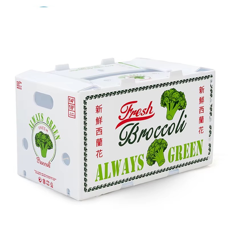 Bilingual printed PP box for fresh broccoli export