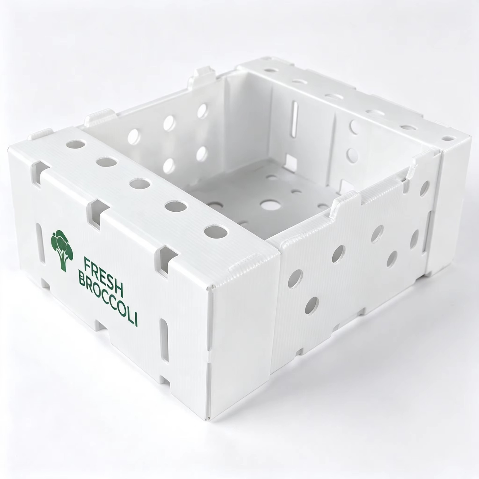 White PP corrugated box for fresh broccoli