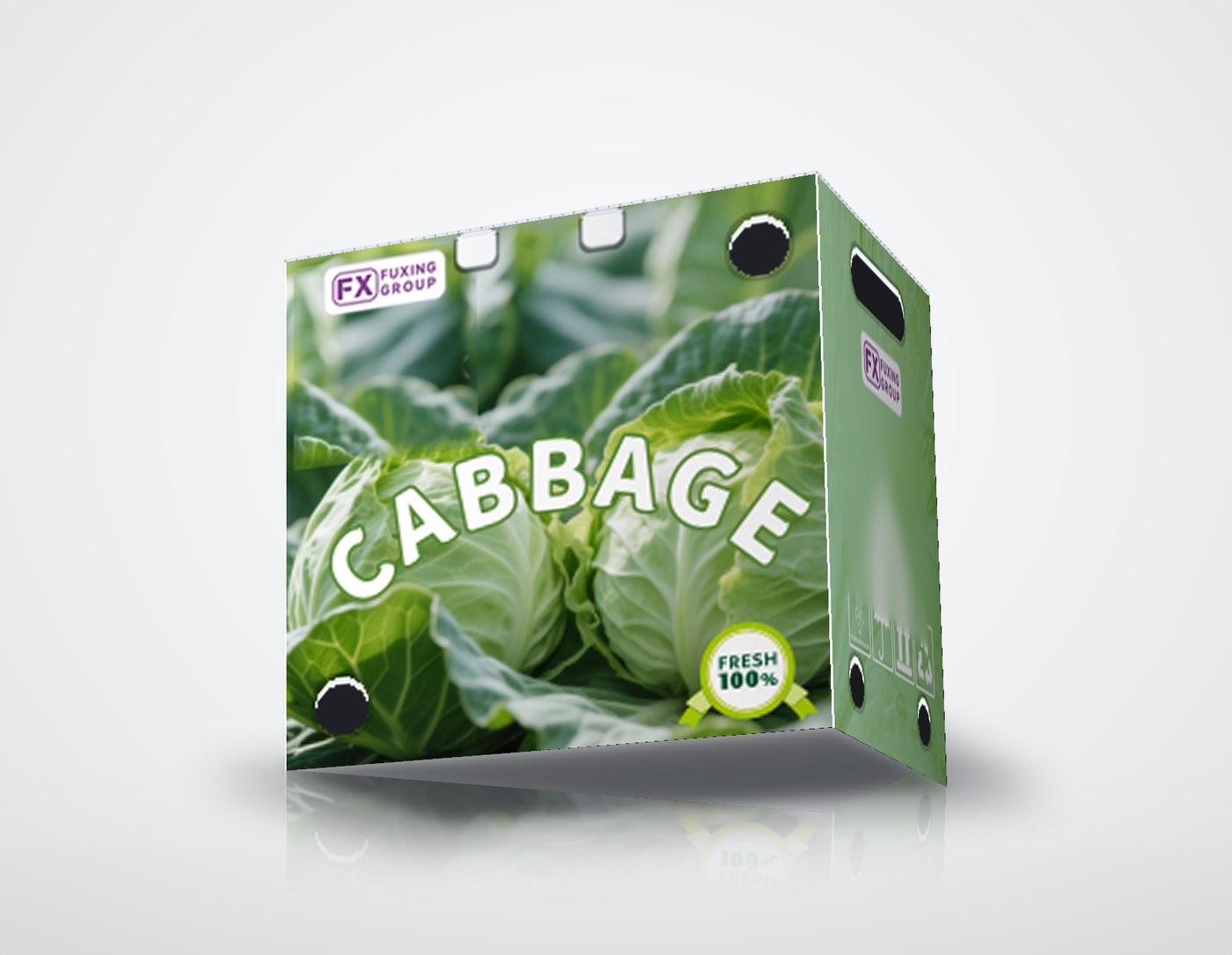 PP corrugated box for cabbage
