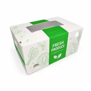 Green printed PP box for fresh produce