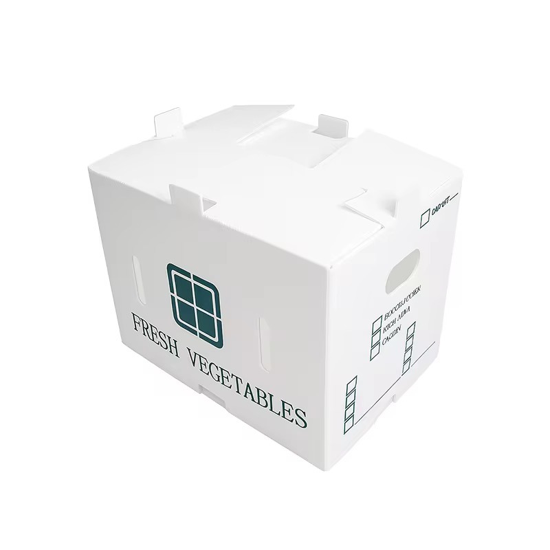 White foldable PP corrugated box for fresh vegetables