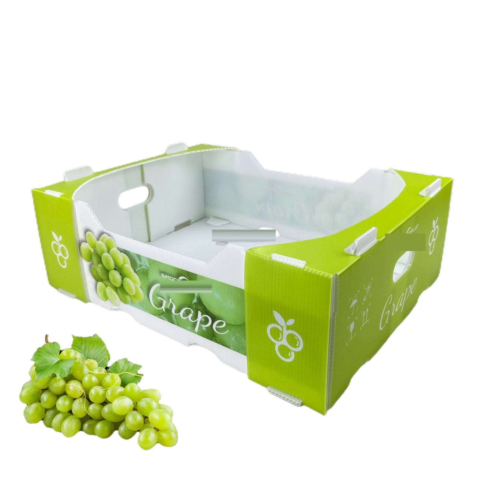 Green PP corrugated grape tray box