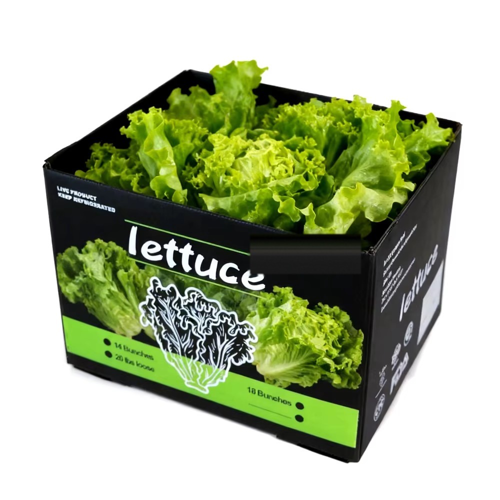 Black PP corrugated lettuce box
