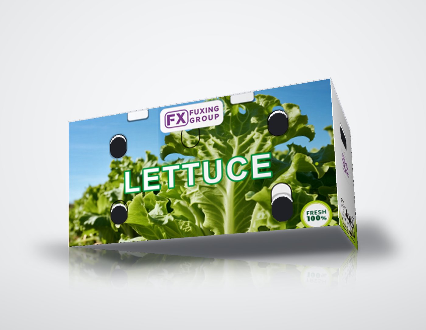 PP corrugated box for lettuce