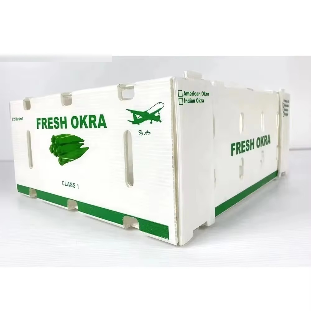 Fresh okra air-freight PP box