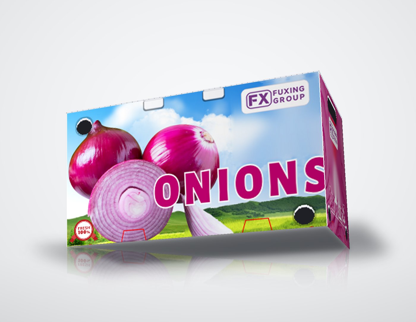PP corrugated box for onions