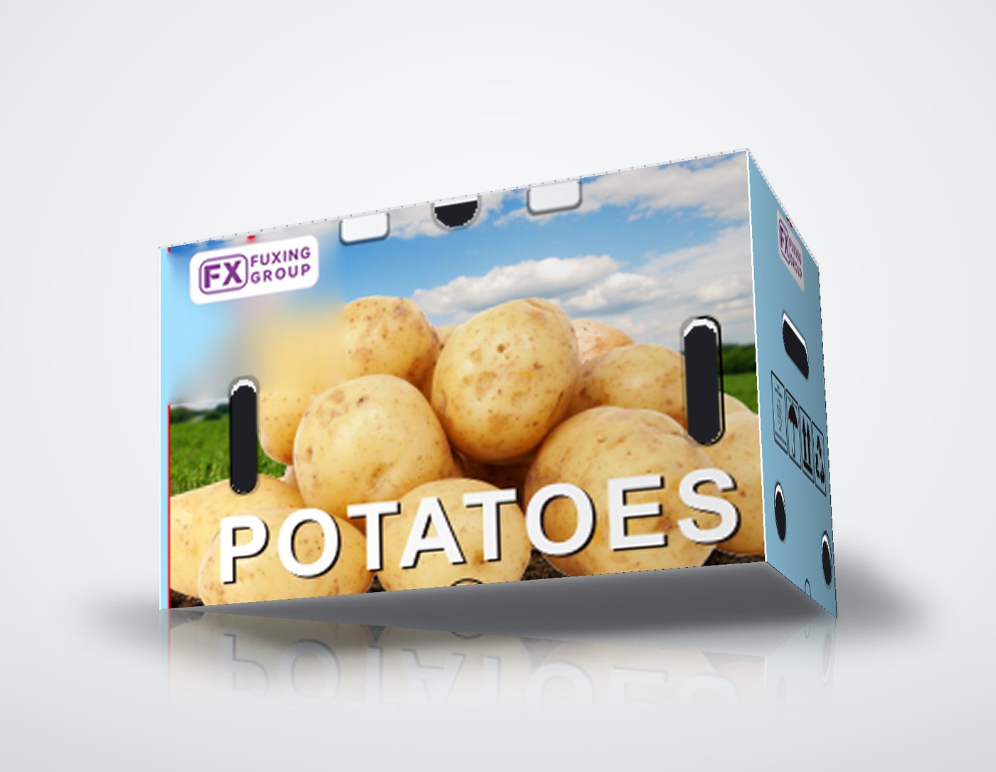 PP corrugated box for potatoes