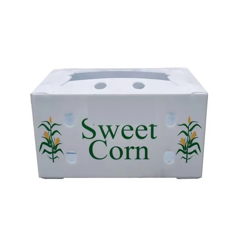 Printed PP corrugated box for sweet corn